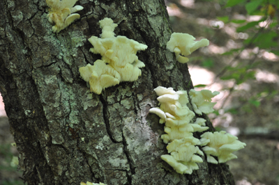 rDSC_0755.jpg