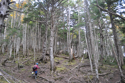 rDSC_0759.jpg