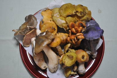 rDSC_0813.jpg