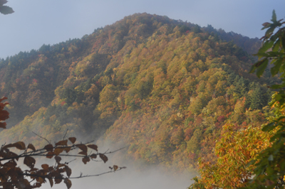 rDSC_0815.jpg