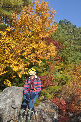 rDSC_0821.jpg