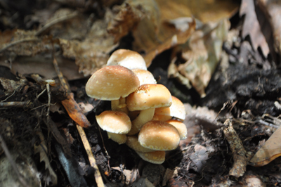 rDSC_0834.jpg