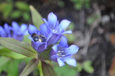rDSC_0848.jpg