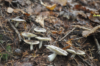 rDSC_0860.jpg