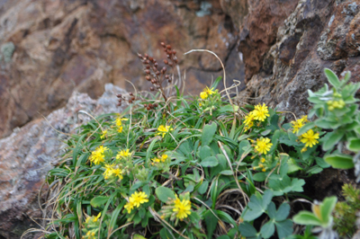 rDSC_0876.jpg