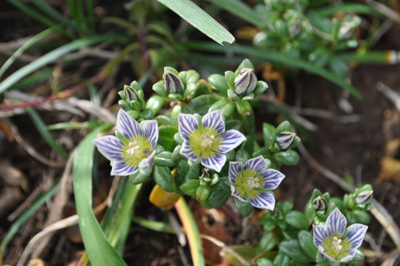 rDSC_0926.jpg