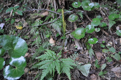 rDSC_0959.jpg