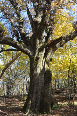 rDSC_0968.jpg