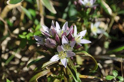 rDSC_0990.jpg
