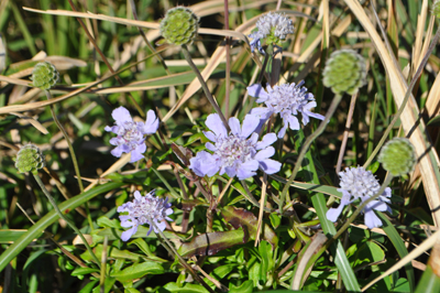 rDSC_1005.jpg