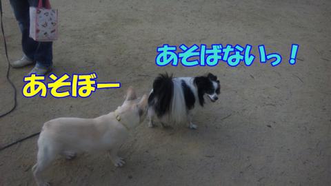 121010_070149.jpg
