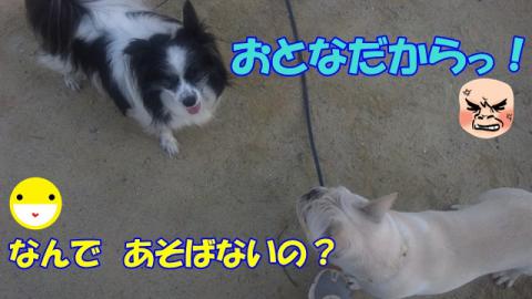 121010_071022.jpg