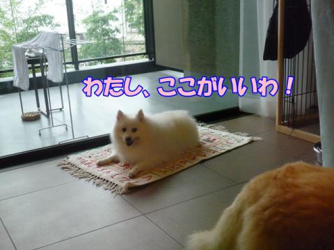 P1140222.jpg