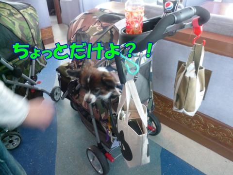 P1140441.jpg