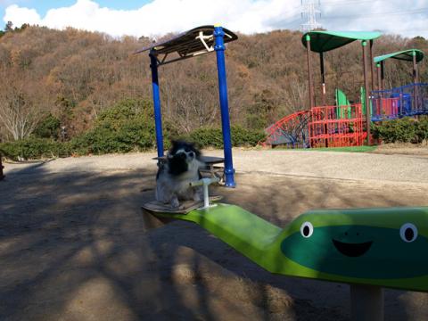 PC193284.jpg