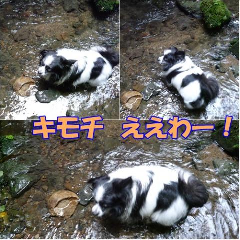 page1_20120725164520.jpg