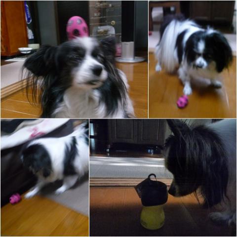 page4_20121031142010.jpg