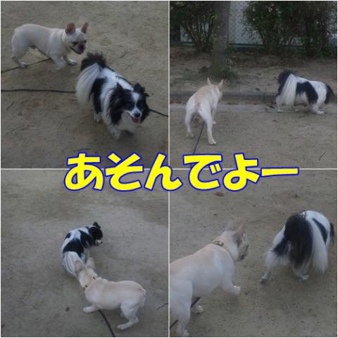 page_20121018222142.jpg