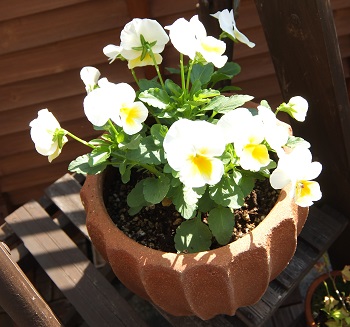 20141025_3.jpg