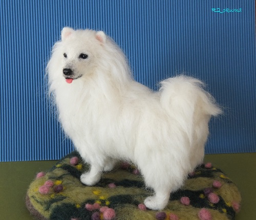 20141110_1.jpg