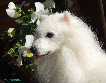 20141110_6.jpg