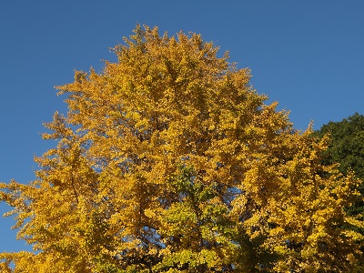 20141128_1.jpg