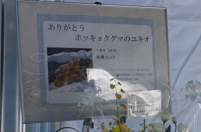 20141128_2a.jpg