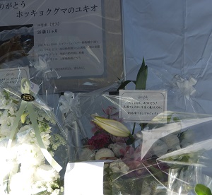 20141128_5.jpg