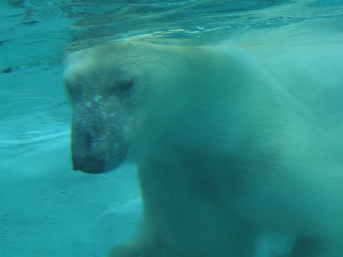 20141128_8.jpg