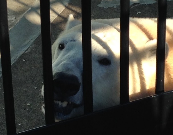 20141209_10.jpg