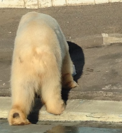 20141209_5.jpg