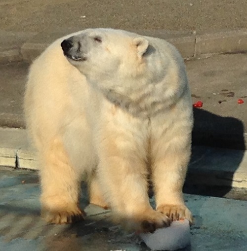 20141209_6.jpg