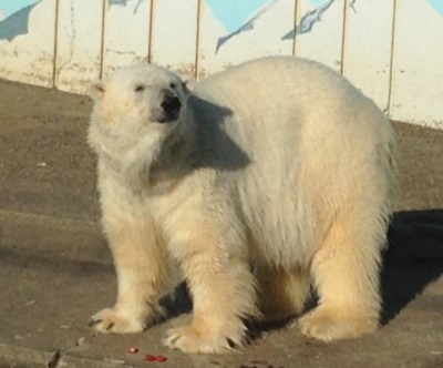 20141211_10.jpg