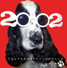 2002_01ari.jpg