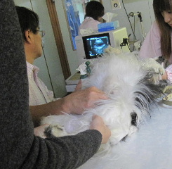eko-watanabe.jpg