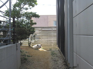 hiatarima.jpg