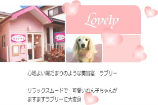 lovelytop101.jpg
