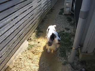 nakana4.jpg