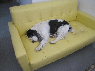 sofa-2.jpg