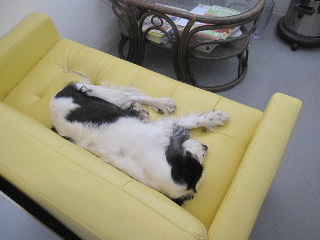 sofa-3.jpg