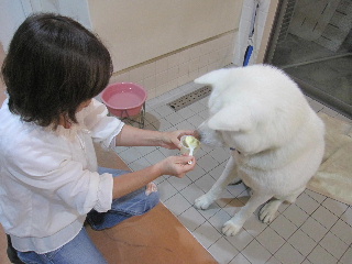 yamapuri.jpg