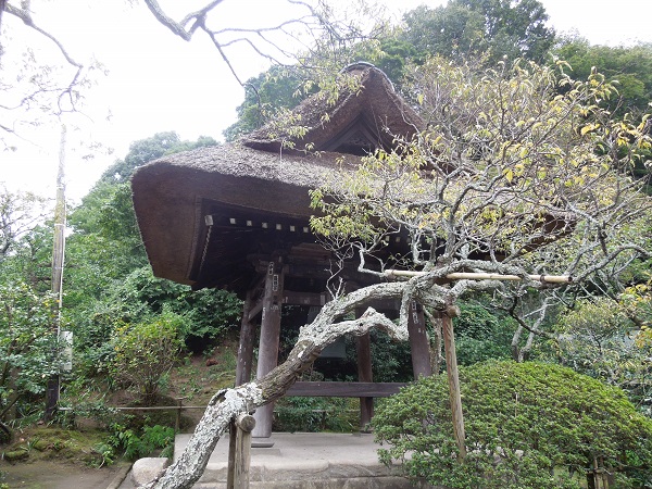 DSCN5905.jpg