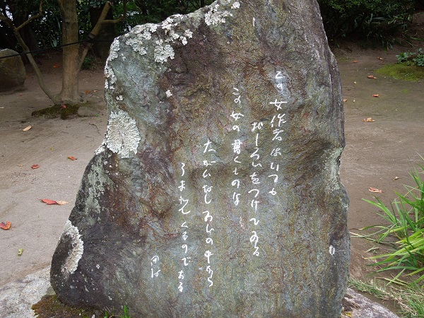 DSCN5906.jpg