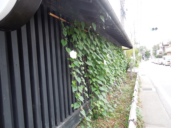 DSCN5909.jpg