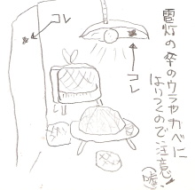 $らこブロ