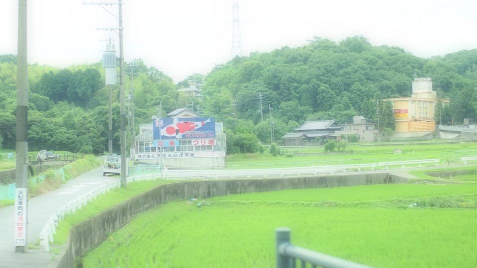 京阪錦鯉センター