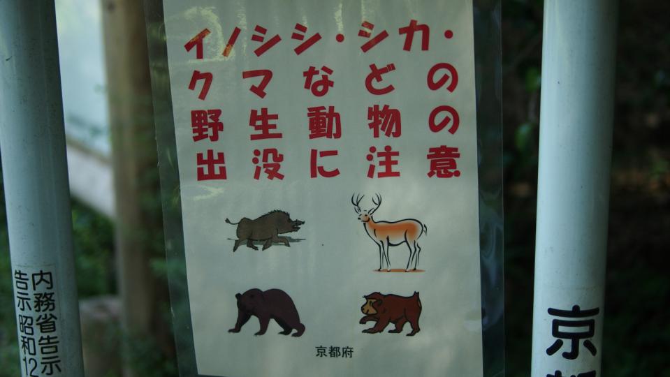 野獣