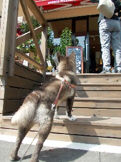 2012.4.29 010-2