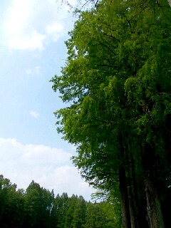 2012.5.6 025-2