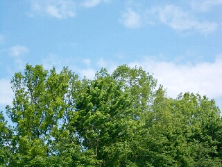 2012.5.12 043-2